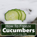 How To Freeze Cucumbers
