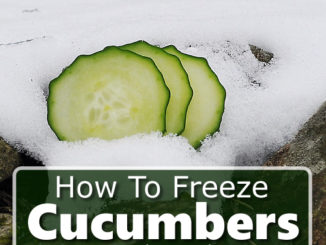 How To Freeze Cucumbers