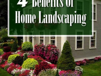 4 Benefits Of Home Landscaping