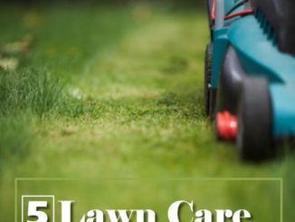 5 Lawn Care Tips for New Homeowners in Mountain Home, ID