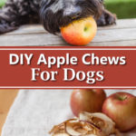 DIY Dog Apple Chews