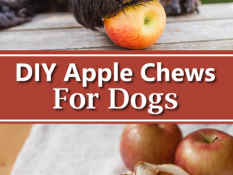 DIY Dog Apple Chews