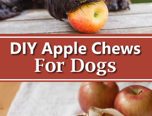 DIY Dog Apple Chews