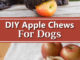 DIY Dog Apple Chews