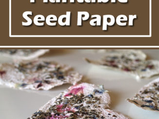 DIY Plantable Seed Paper