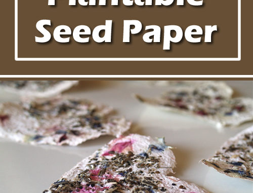 DIY Plantable Seed Paper