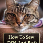 How To Sew DIY Cat Beds