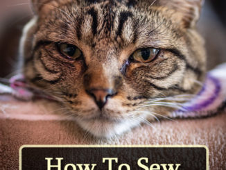 How To Sew DIY Cat Beds