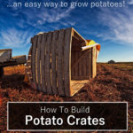 How To Build Potato Crates