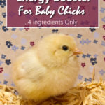 Homemade Energy Booster For Baby Chicks