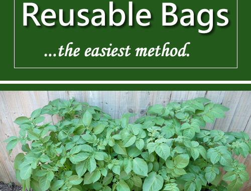 How To Grow Potatoes In Reusable Bags