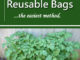 How To Grow Potatoes In Reusable Bags