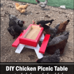 DIY Chicken Picnic Table Plans