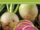 How To Grow Watermelon Radishes