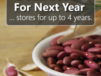 How To Save Bean Seeds From Your Garden