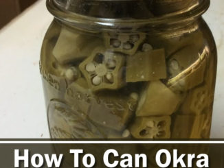Canning Okra For Frying