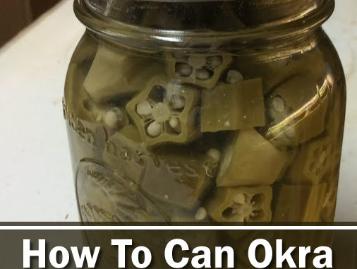 Canning Okra For Frying