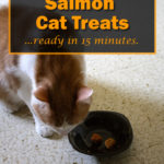 Homemade Salmon Cat Treats