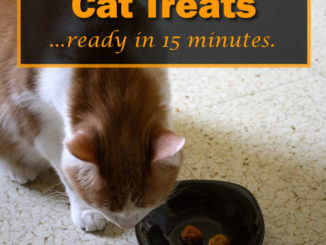 Homemade Salmon Cat Treats