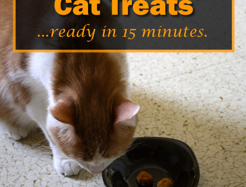 Homemade Salmon Cat Treats
