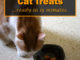 Homemade Salmon Cat Treats