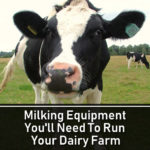Milking Equipment You'll Need To Run Your Dairy Farm