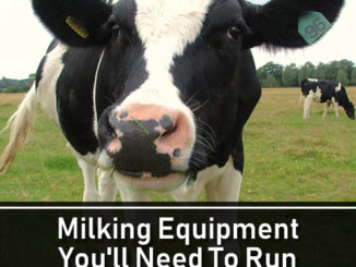 Milking Equipment You'll Need To Run Your Dairy Farm