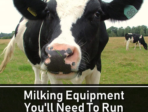 Milking Equipment You'll Need To Run Your Dairy Farm