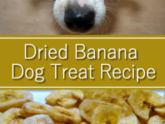 Dried Banana Dog Treat Recipe