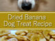 Dried Banana Dog Treat Recipe