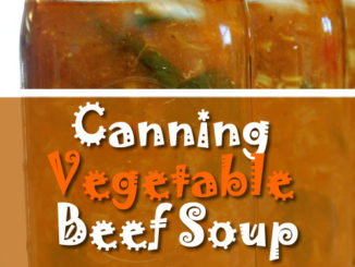 Canning Vegetable Beef Soup Recipe