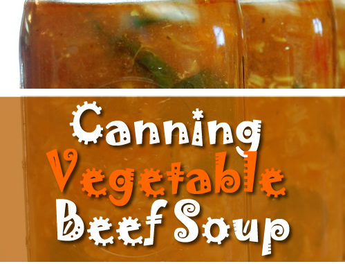 Canning Vegetable Beef Soup Recipe