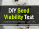 DIY Seed Viability Test