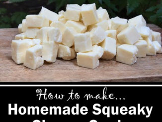 Homemade Squeaky Cheese Curds
