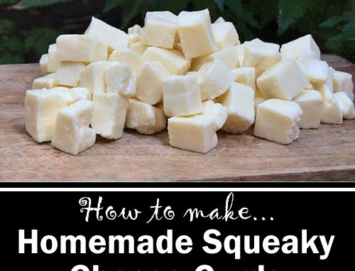 Homemade Squeaky Cheese Curds