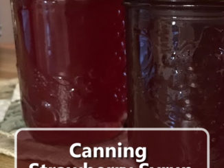 Canning Strawberry Syrup Recipe