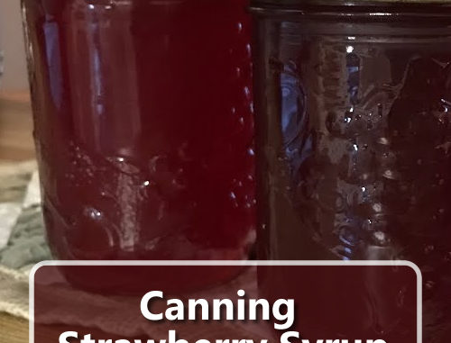 Canning Strawberry Syrup Recipe