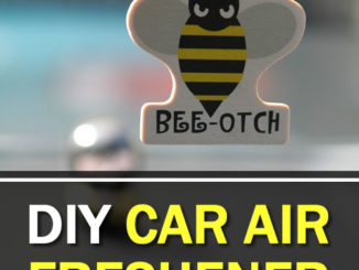 DIY Car Air Freshener