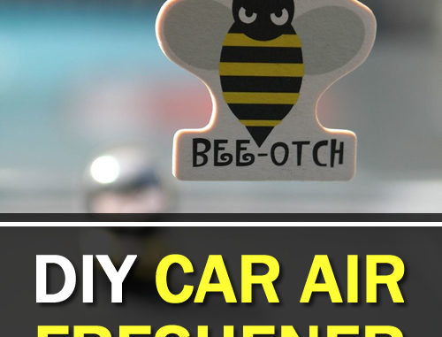 DIY Car Air Freshener