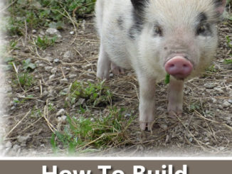How To Build A Mini Pig Pen Using Wood Pallets