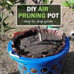 DIY Air Pruning Pot