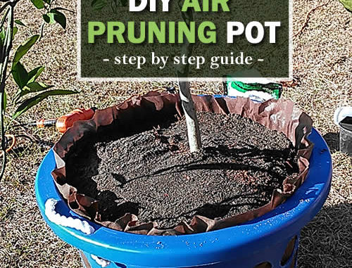 DIY Air Pruning Pot