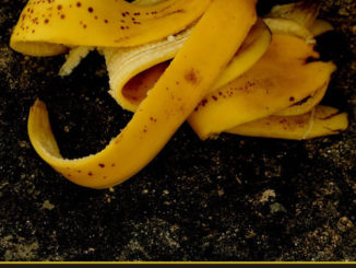 diy banana tea fertilizer