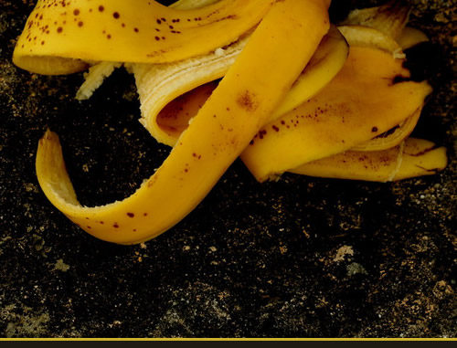 diy banana tea fertilizer