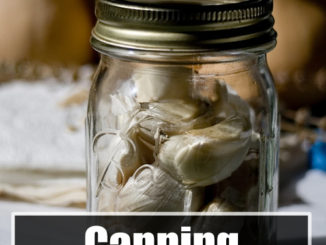Canning Garlic Recipe