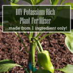 DIY Potassium Rich Plant Fertilizer