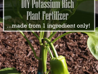 DIY Potassium Rich Plant Fertilizer