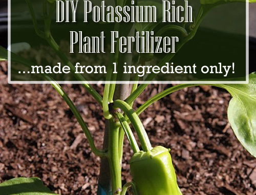 DIY Potassium Rich Plant Fertilizer