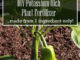 DIY Potassium Rich Plant Fertilizer
