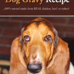 Homemade Dog Gravy Recipe